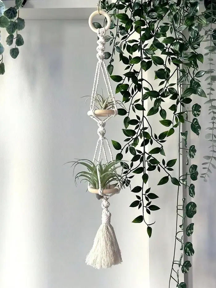 Cintres Muraux en Macramé pour Plantes à Air